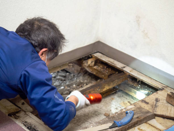 Best Water Damage Restoration  in Dixon, CA