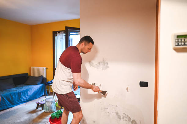 Best Affordable Mold Removal  in Dixon, CA